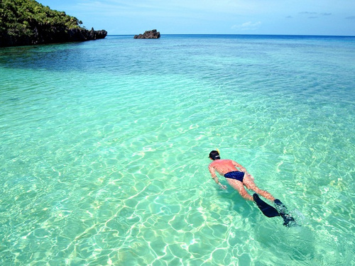 Roatan snorkel charter Shore Excursion Cost