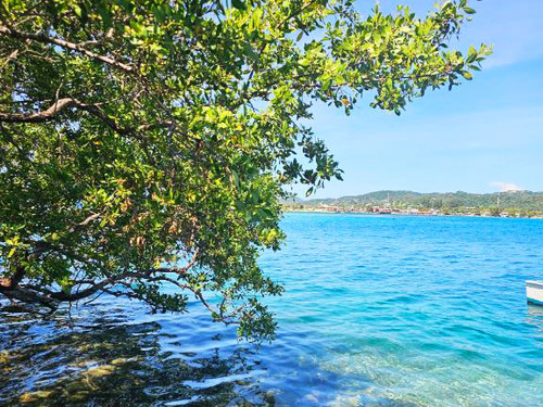 Roatan Clear Boat, Snorkeling, and Private Beach Club Excursion