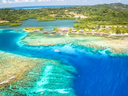 Roatan Clear Boat, Snorkeling, and Private Beach Club Excursion