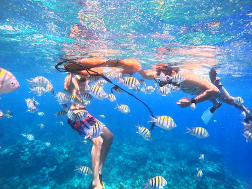 Roatan Clear Boat, Snorkeling, and Private Beach Club Excursion