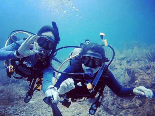 Roatan Dive by Boat Tour Prices