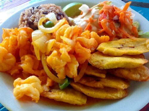 Roatan E-Bike, Food Tasting, and Beach Adventure Excursion