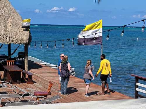 Roatan E-Bike, Food Tasting with Beach, and Wildlife Encounter Excursion