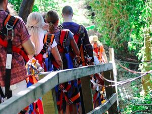 Roatan Eco Walkways, Treetop Suspension Bridges, Zip Line, and Beach Break Adventure Excursion