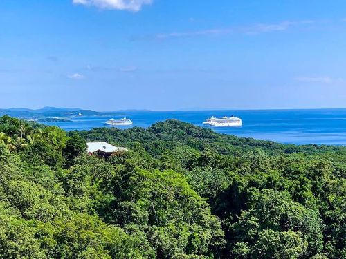 Roatan Honduras Canopy Zip line  Excursion Cost