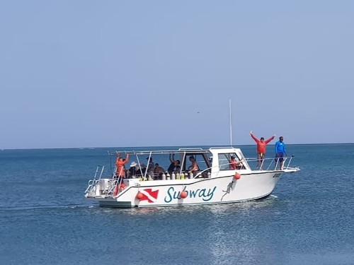 Roatan  Honduras Colorful Fish Diving Shore Excursion Booking