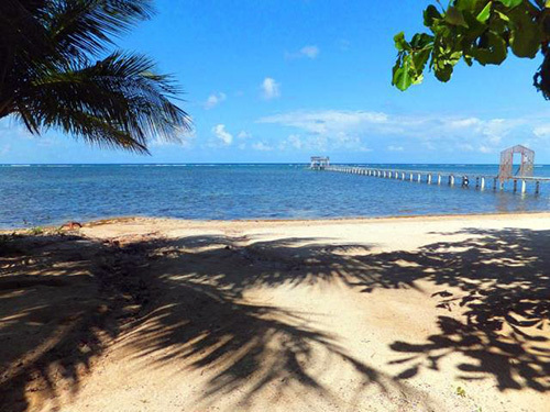 Roatan  Honduras  Excursion Booking