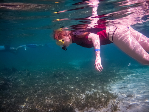 Roatan Honduras island sightseeing Shore Excursion Booking