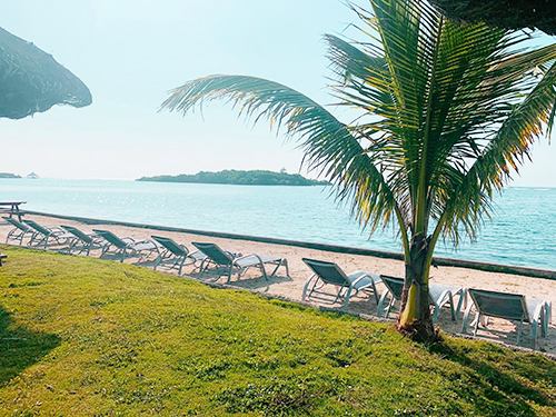 Roatan sloth Tour Reservations