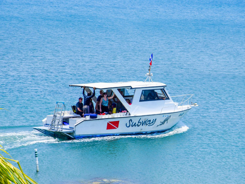 Roatan  Honduras Prince Albert Diving Cruise Excursion Reservations