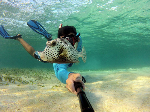 Roatan  Honduras Reef wall Excursion Cost