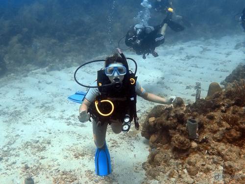 Roatan  Honduras SCUBA Diving Excursion Tickets
