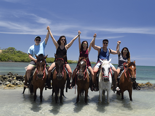 Roatan Horseback Riding and Private Day Pass at Brady's Cay Beach Excursion