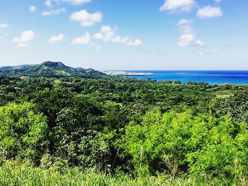 Roatan Horseback Riding and Private Day Pass at Brady's Cay Beach Excursion