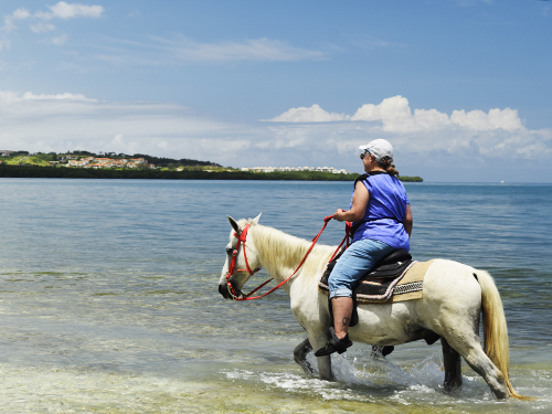 Roatan Horseback Riding and Private Day Pass at Brady's Cay Beach Excursion