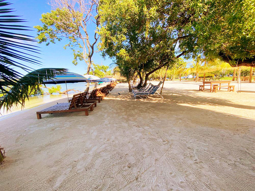 Roatan Hydrobike, Reef Snorkeling, Monkeys & Sloth Hangout with Beach Break Excursion