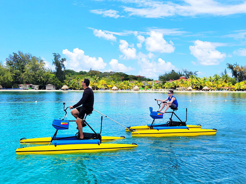 Roatan Hydrobike, Reef Snorkeling, Monkeys & Sloth Hangout with Beach Break Excursion