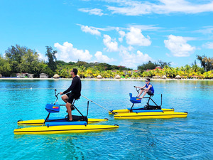 Roatan Hydrobike, Reef Snorkeling, Monkeys & Sloth Hangout with Beach Break Excursion