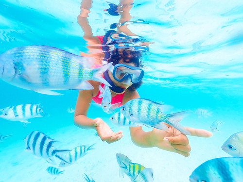 Roatan Hydrobike, Reef Snorkeling, Monkeys & Sloth Hangout with Beach Break Excursion