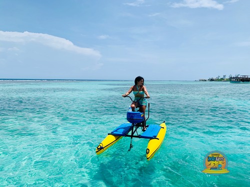 Roatan Hydrobike, Reef Snorkeling, Monkeys & Sloth Hangout with Beach Break Excursion