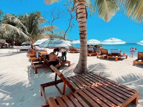 Roatan Hydrobike, Reef Snorkeling, Monkeys & Sloth Hangout with Beach Break Excursion