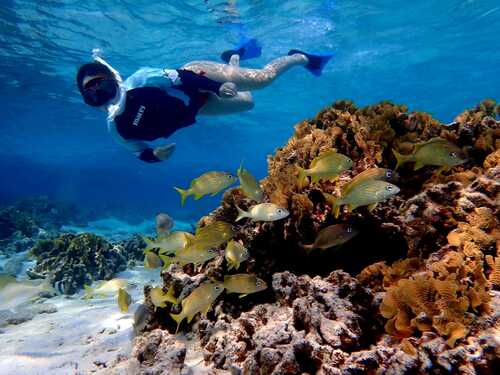 Roatan Hydrobike, Reef Snorkeling, Monkeys & Sloth Hangout with Beach Break Excursion