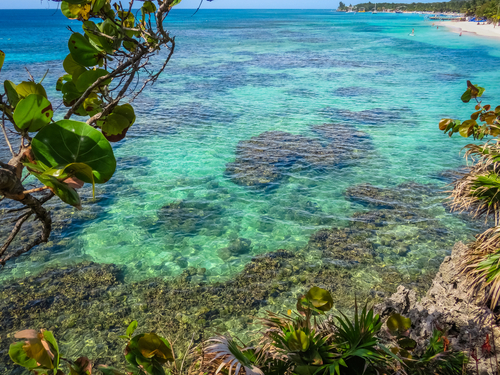 Roatan Honduras island sightseeing Cruise Excursion Tickets