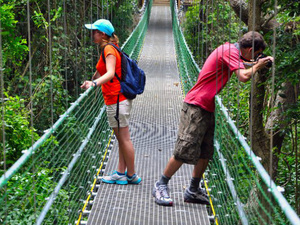Roatan Jungle Eco Walkway, Treetop Suspension Bridges and Beach Break Excursion