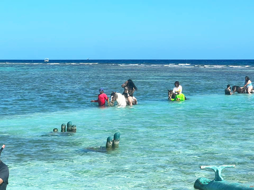 Roatan Little French Key Private Island Beach Resort Day Pass Excursion