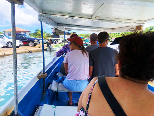 Roatan Mangrove Tunnel with E-Bike Adventure, Food Tasting, and Beach Break Excursion