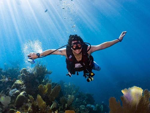 Roatan Marys Place Diving Excursion Reservations