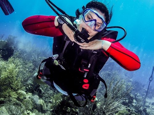 Roatan Mr Bud Diving Trip Prices