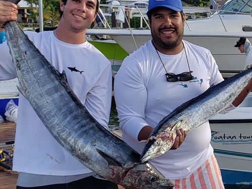 Roatan private boat Excursion Booking