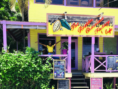 Roatan Private Chocolate Rum cake Factory, Sightseeing and Beach Break Excursion 