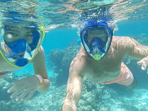Roatan Private Chocolate Rum Cake Factory, Sightseeing, Monkey and Sloth, and Beach Excursion