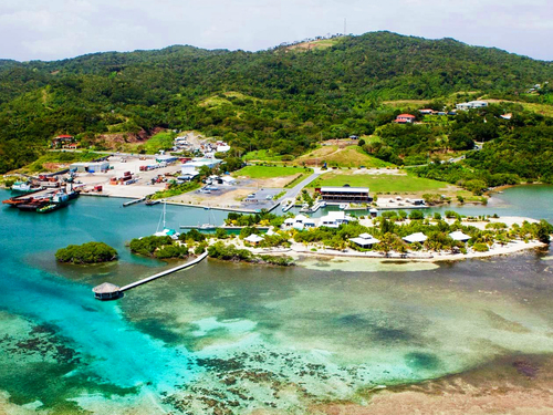 Roatan Private Chocolate Rum Cake Factory, Sightseeing, Monkey and Sloth, and Beach Excursion