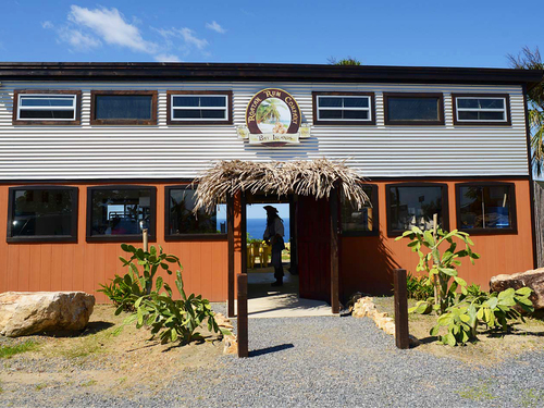 Roatan Private Chocolate Rum Cake Factory, Sightseeing, Monkey and Sloth, and Beach Excursion