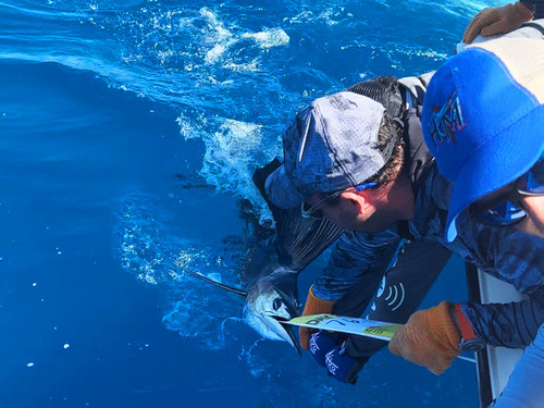 Roatan private boat Cruise Excursion Tickets