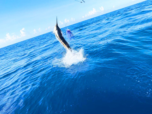 Roatan private fishing Excursion Reviews