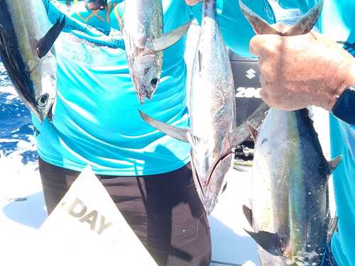 Roatan private fishing Cruise Excursion Prices