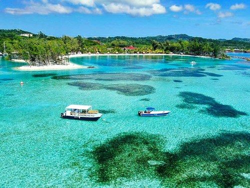 Roatan Reef wall Excursion Prices