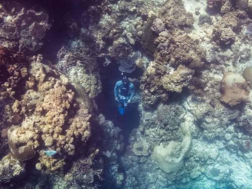 Roatan Roatan Excursion Trip Reservations