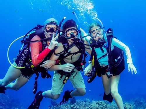 Roatan Shipwreck Diving Tour Reservations