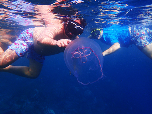 Roatan Parrot Tree Plantation Shore Excursion Tickets