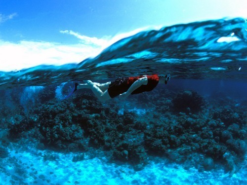 Roatan  Snorkel Excursion Booking