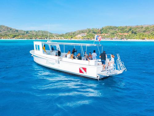 Roatan Snorkeling by Boat Shore Excursion Tickets