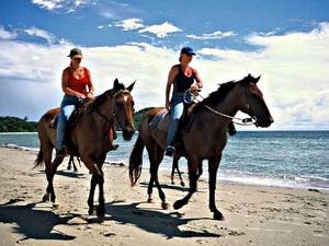 Roatan Ultimate Nature Combo Excursion: Mangrove Cruise, Horseback Riding, Reef Snorkeling, and Beach Break