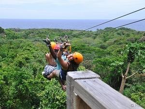 Roatan Zip Line Canopy, Island Highlights, and West Bay Beach Excursion