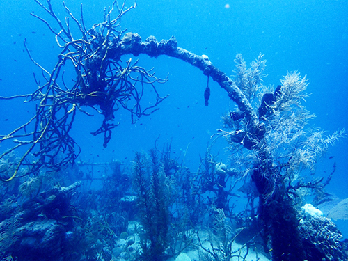 Roatan All in One Shore Excursion Prices