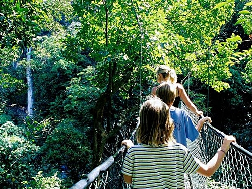 Puntarenas suspension bridges Shore Excursion Reviews